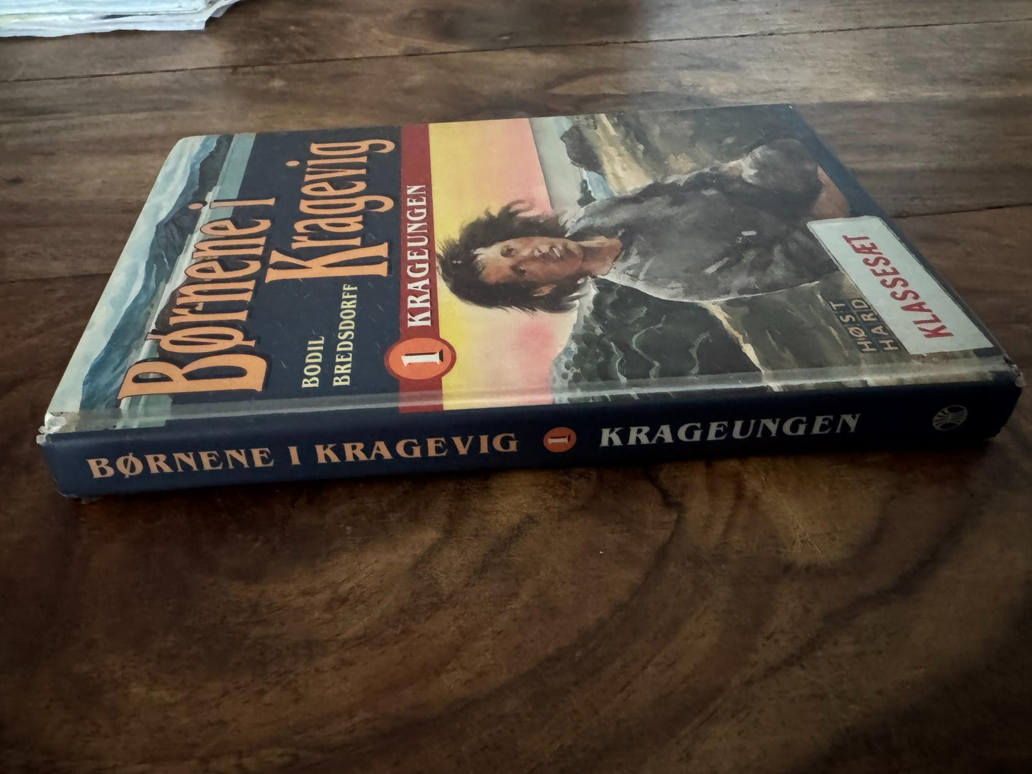 Børnene i Kragevig Bodil Bredsdorff