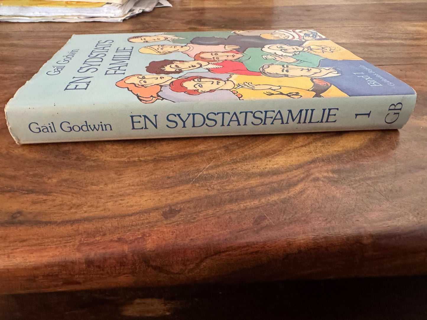 En sydstatsfamilie #1 Gail Godwin