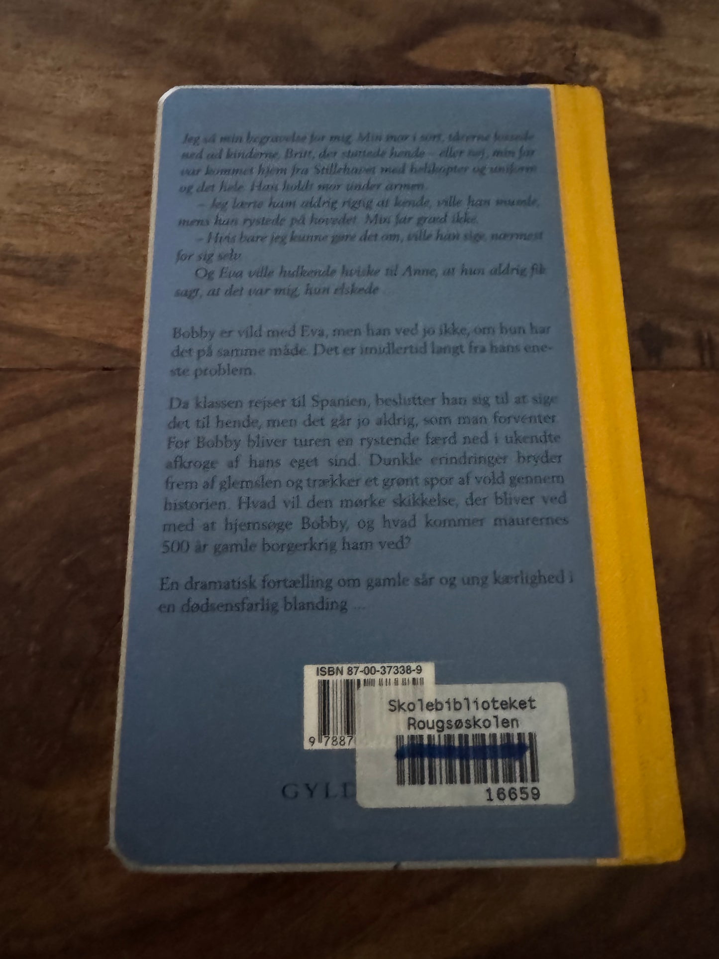 Den anden kind Sally Altschuler