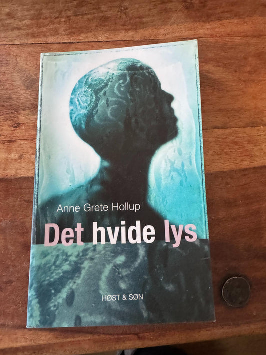 Det hvide lys Anne Grete Hollup