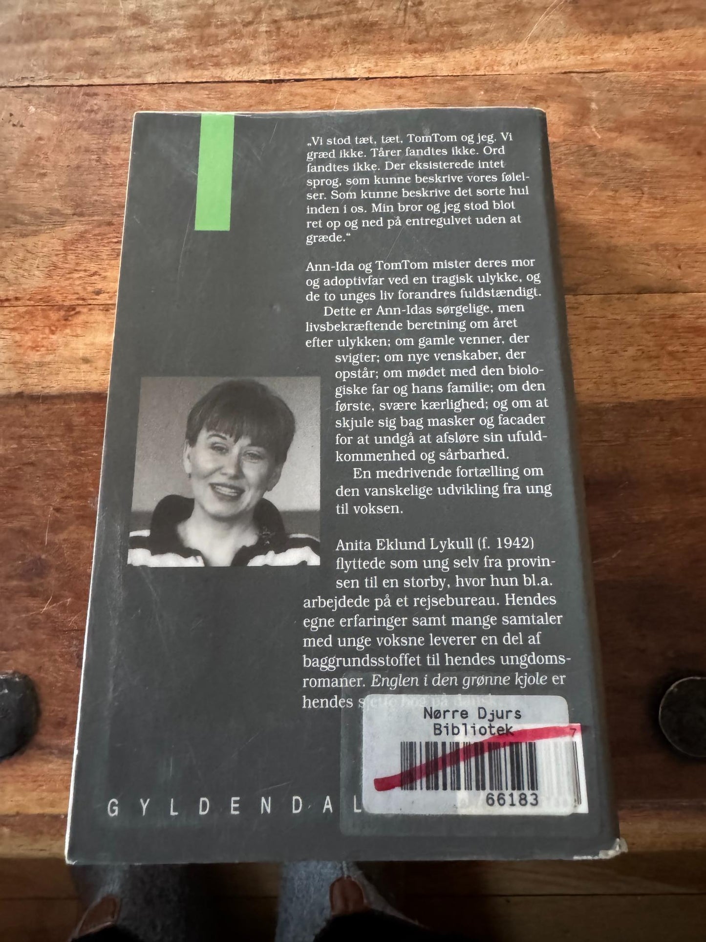 Englen i den grønne kjole Anita Eklund Lykull