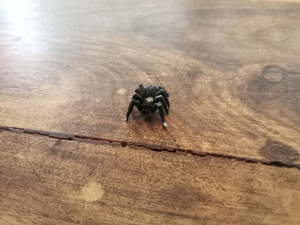 Warhammer Quest Miniatures Spider Games Workshop