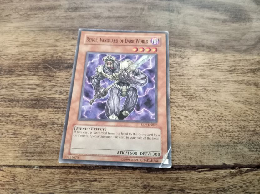 Yu-Gi-Oh! Beige, Vanguard of Dark World EEN-EN020
