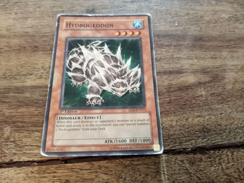 Yu-Gi-Oh! HYDROGEDDON EEN-EN013