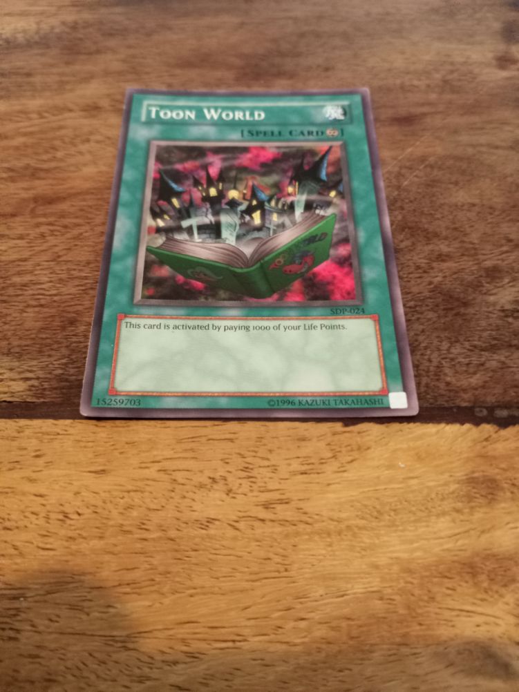Yu-Gi-Oh! Toon World SDP-024