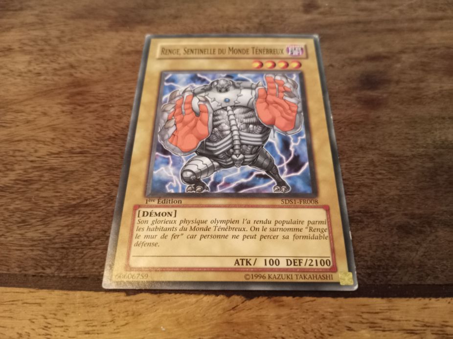 Yu-Gi-Oh! Renge, Sentinel of the Dark World 5DS1-FR008
