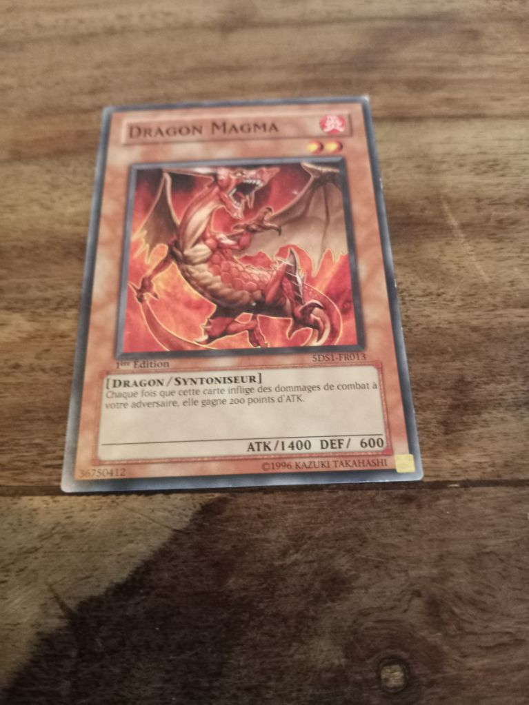 Yu-Gi-Oh! Dragon Magna 5DS1-FRo13