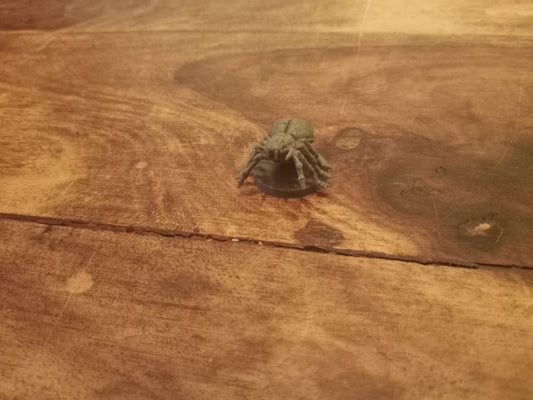 Giant Spider Blacklist Fantasy Altar Quest Miniature M211