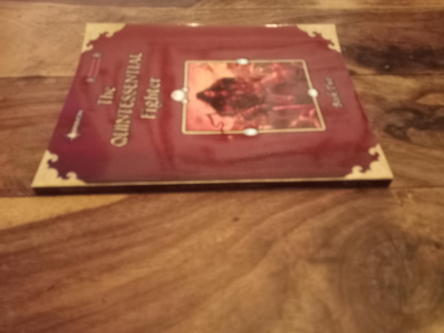 The Quintessential Fighter Dungeons & Dragons 4th Edition D&D Wizards of the Coast
