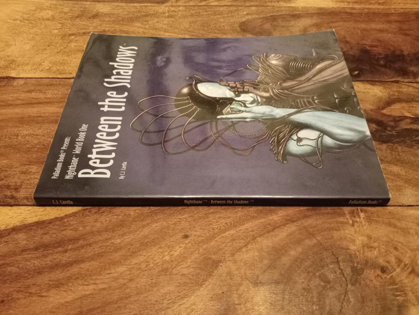 Between the Shadows World Book #1 Palladium 1996