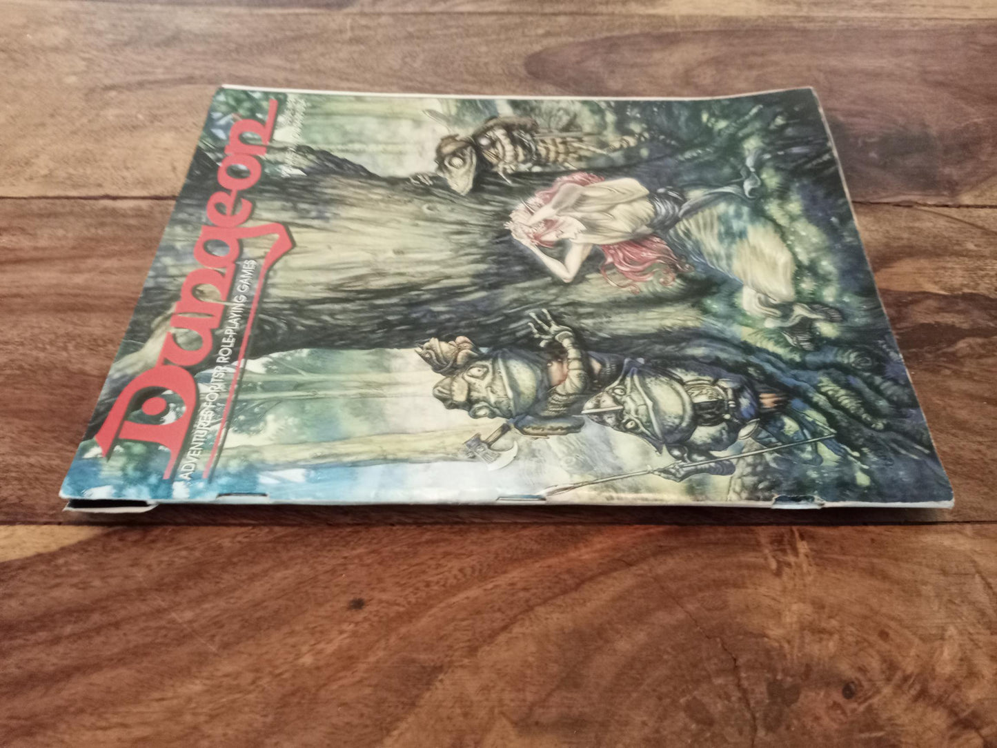 DUNGEON MAGAZINE #63 January 1997 TSR D&D