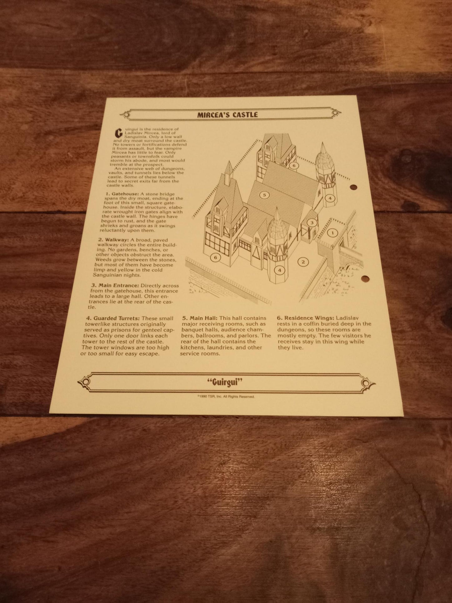 Ravenloft Realm of Terror TSR 1053 Card AD&D 1990