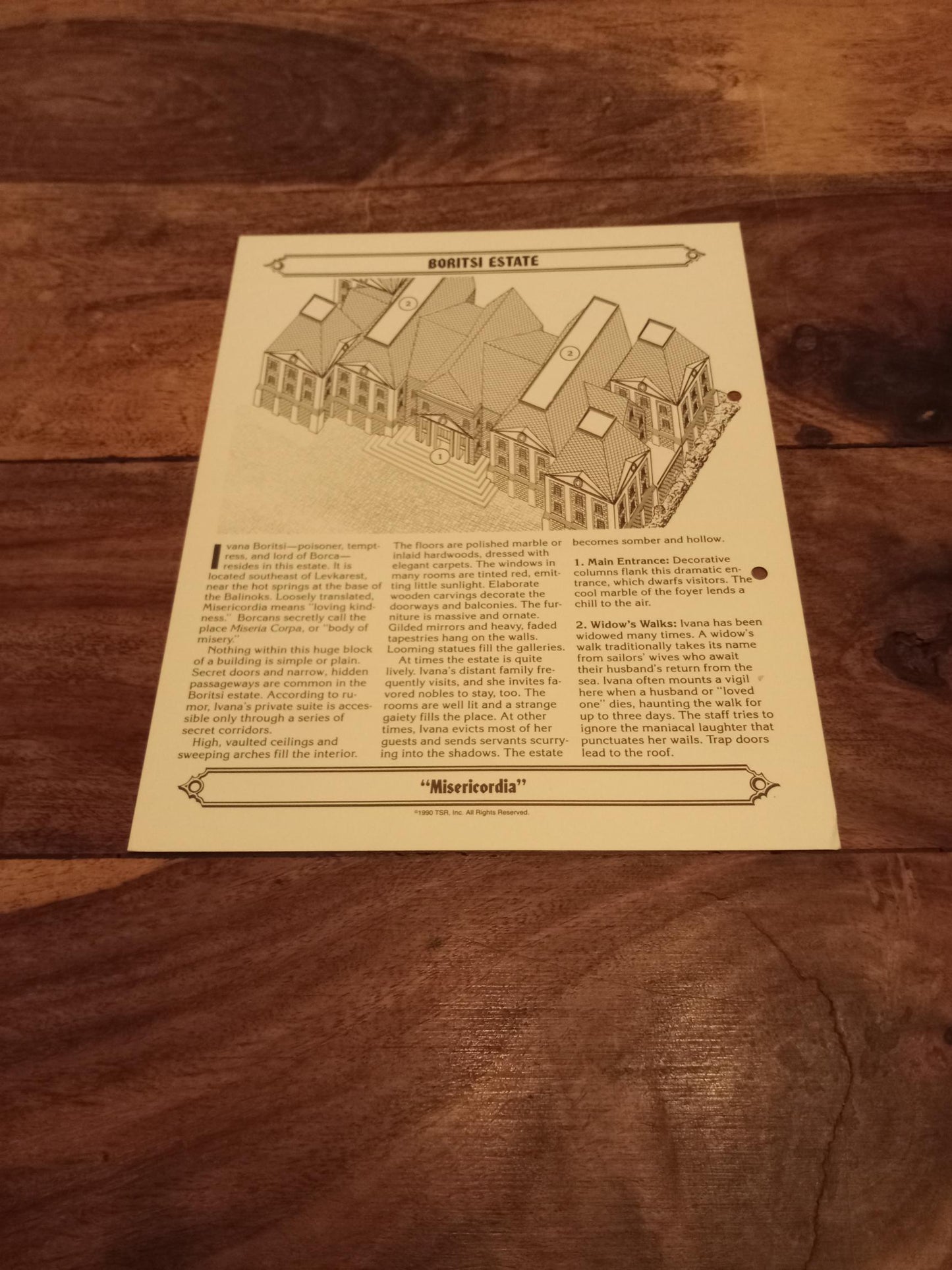Ravenloft Realm of Terror TSR 1053 Card AD&D 1990