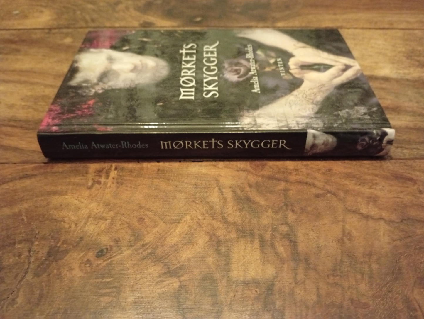 Mørkets skygger Amelia Atwater Rhodes Vinten 2000