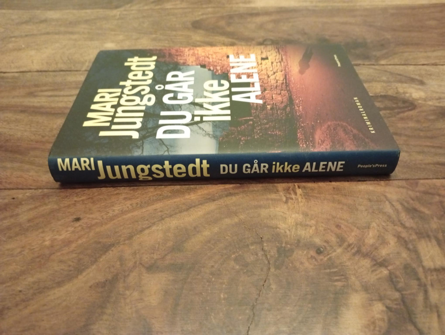 Du går ikke alene Mari Jungstedt People´sPress 2017