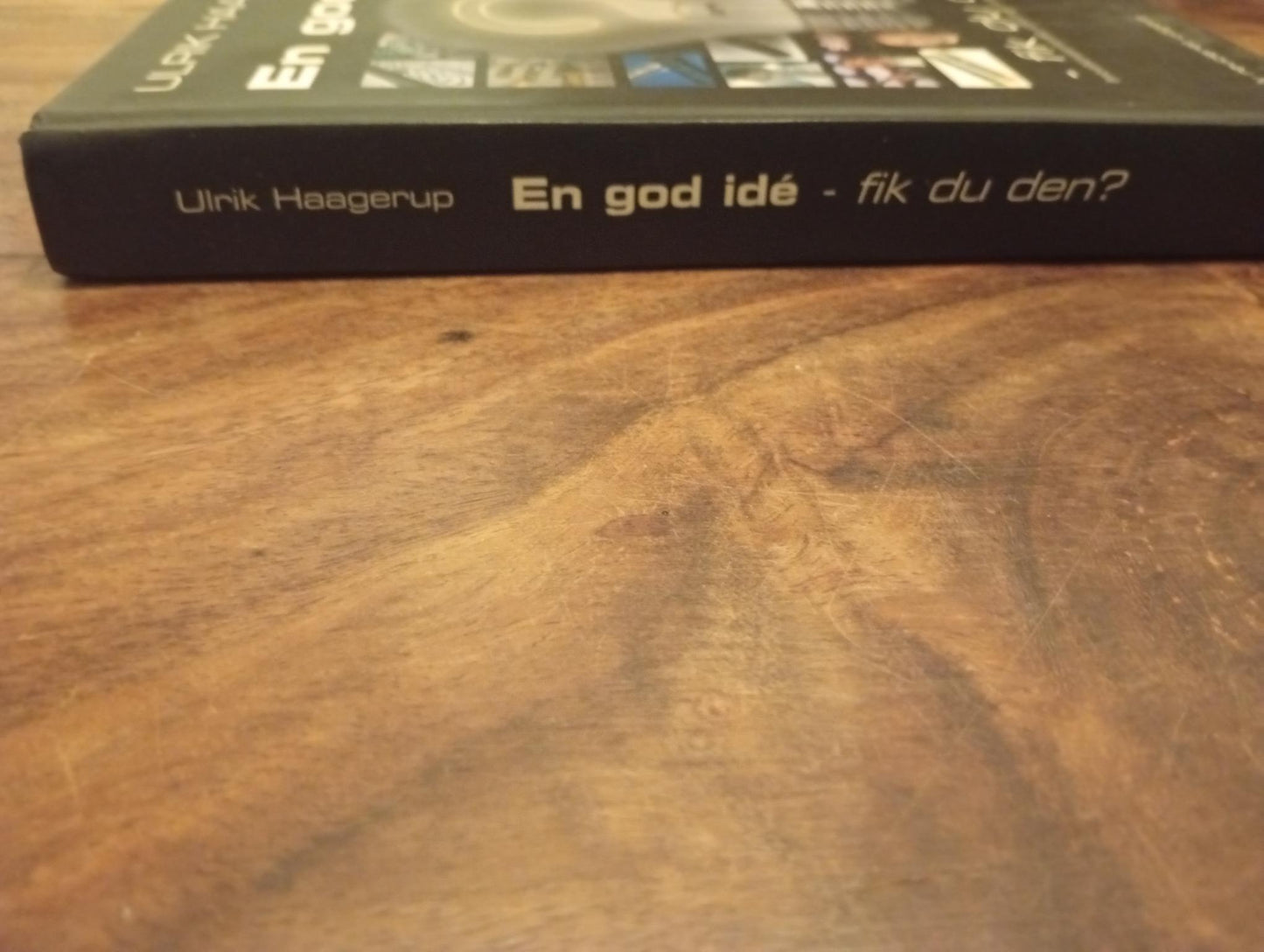 En god idé - fik du den? Ulrik Haagerup Aschehoug 2004