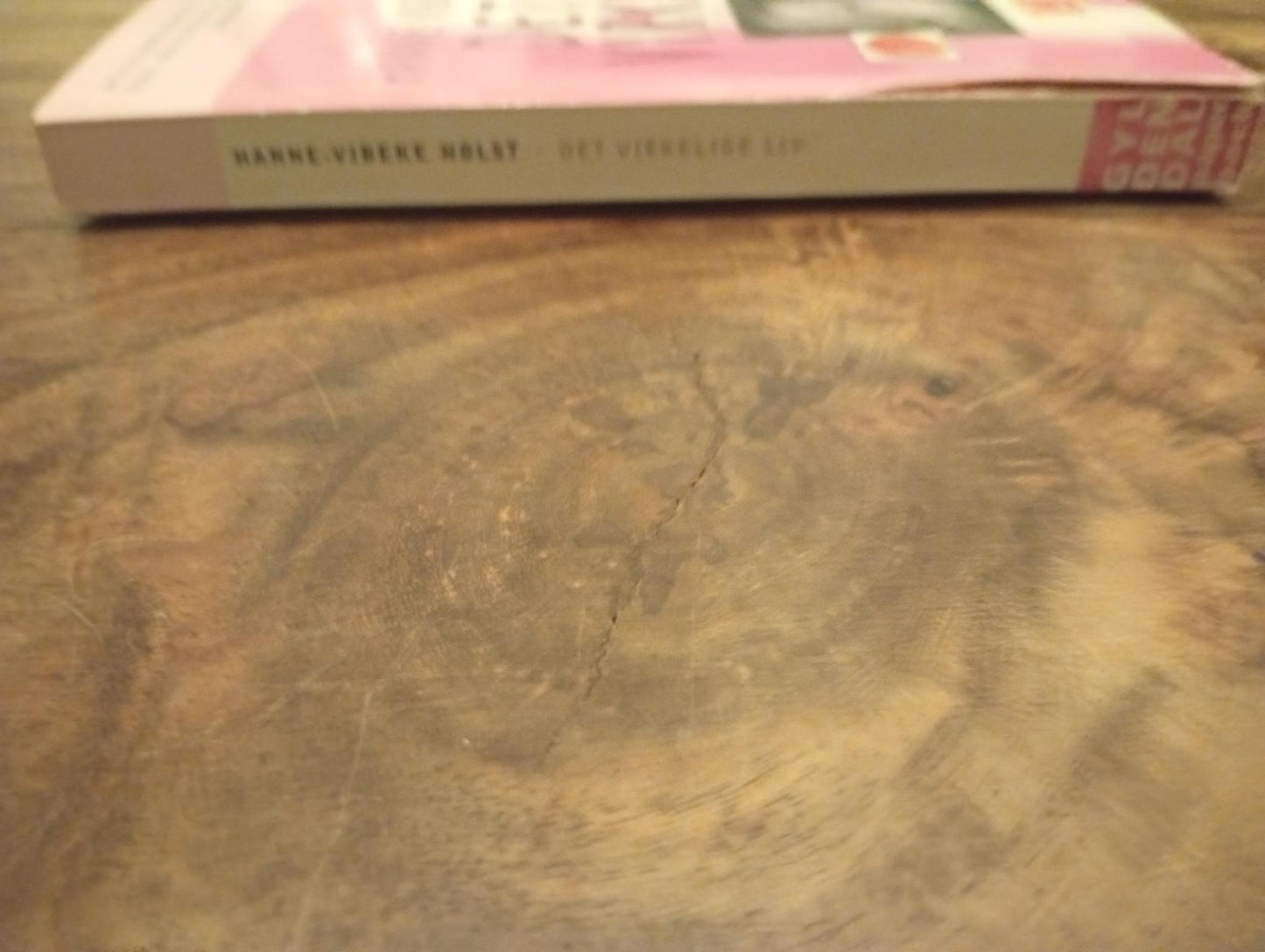 Det virkelige liv Hanne-Vibeke Holst 2002