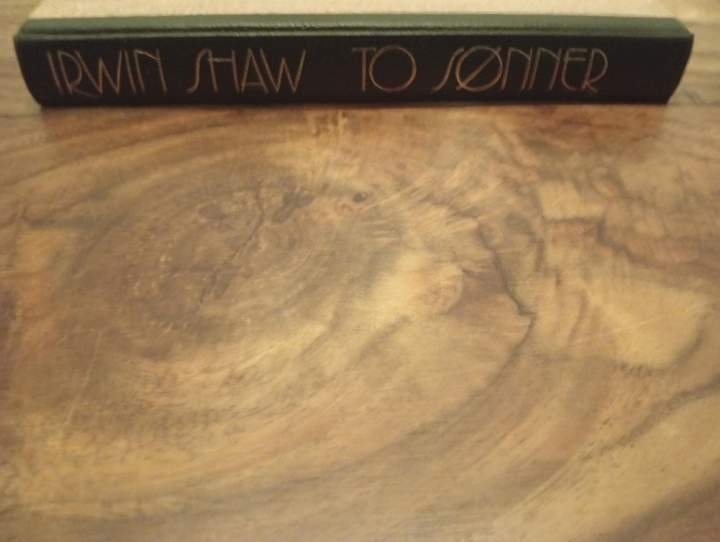 To sønner Irwin Shaw 1983
