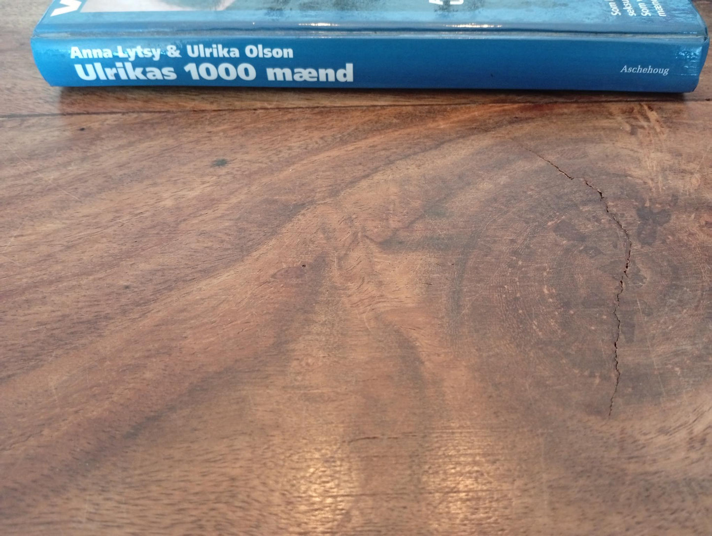 Ulrikas 1000 Mænd