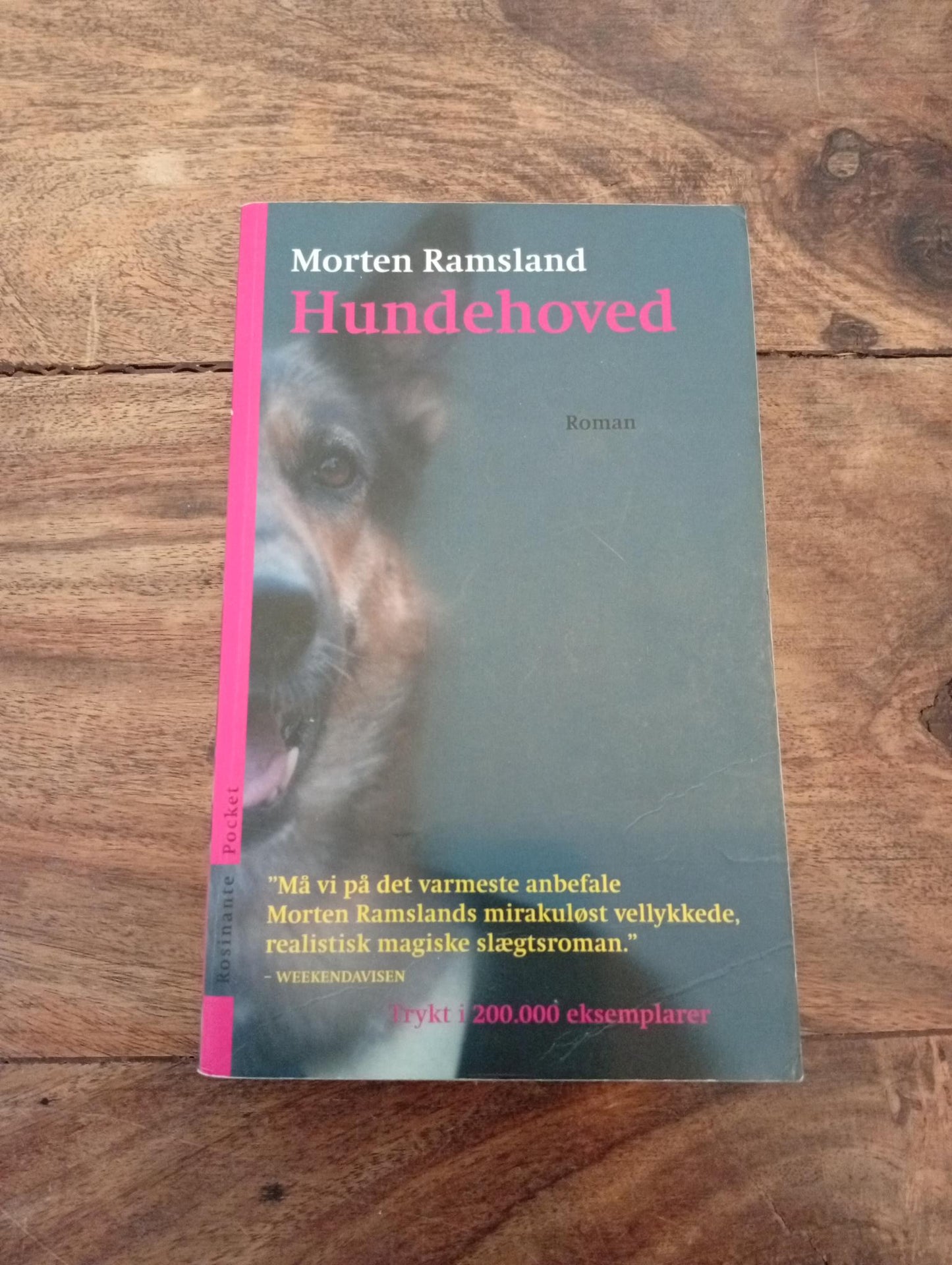 Hundehoved Morten Ramsland Rosinante 2017