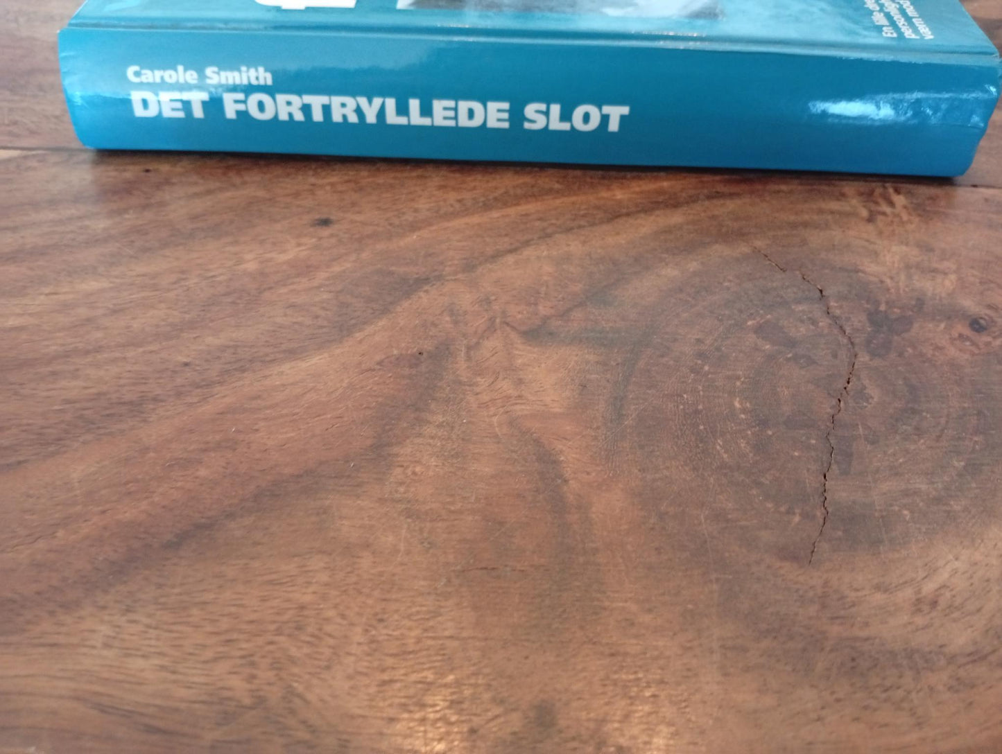 Det fortryllede slot af Carole Smith Egmont 1999