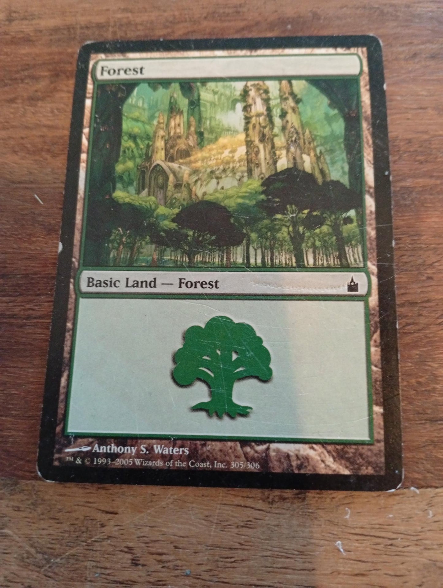 Magic The Gathering Forest #305
