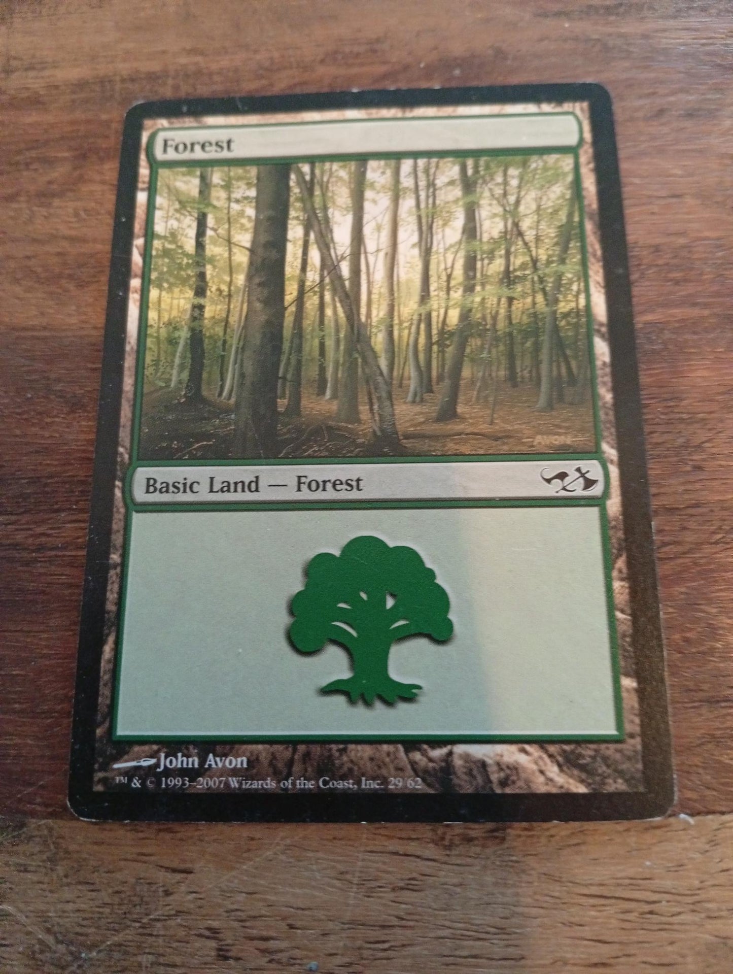 Magic The Gathering Forest #29