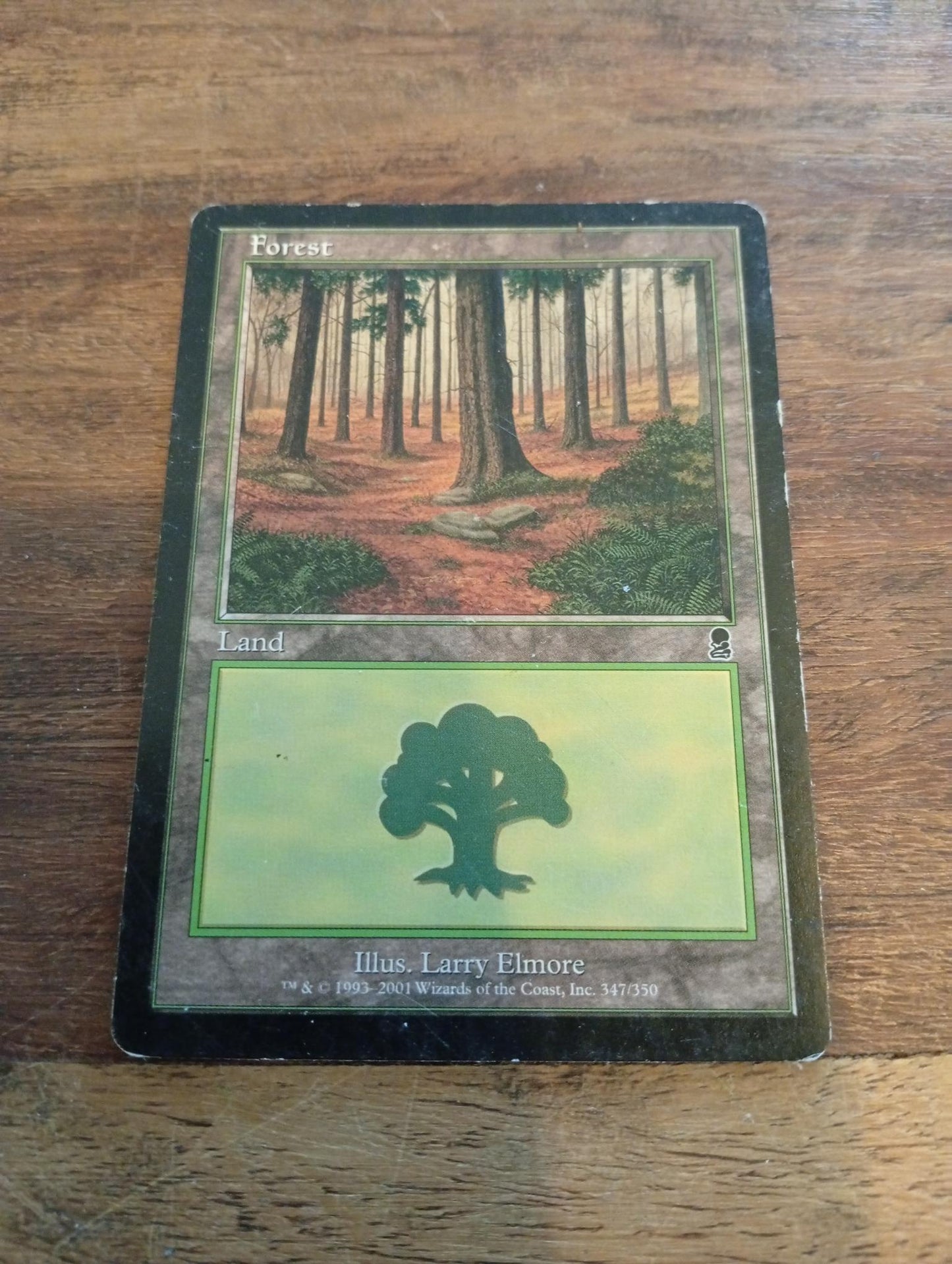 Magic The Gathering Forest #347
