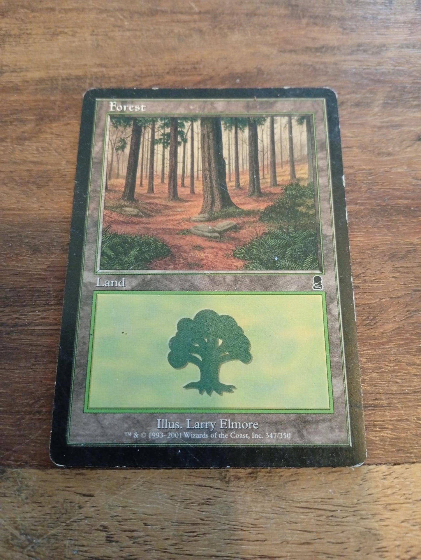 Magic The Gathering Forest #347