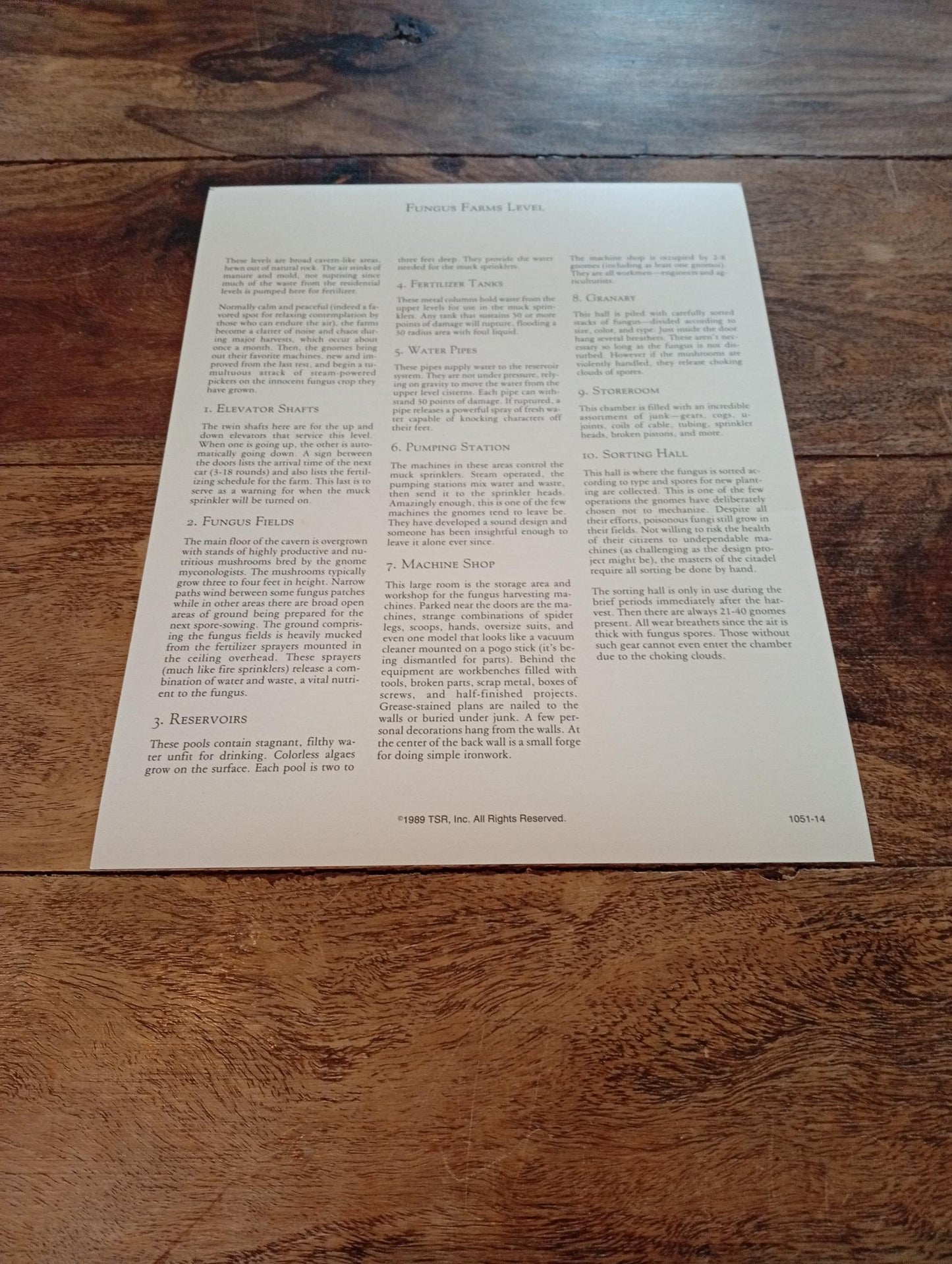 Dragonlance Time of the Dragon TSR 1050 Card AD&D 1993