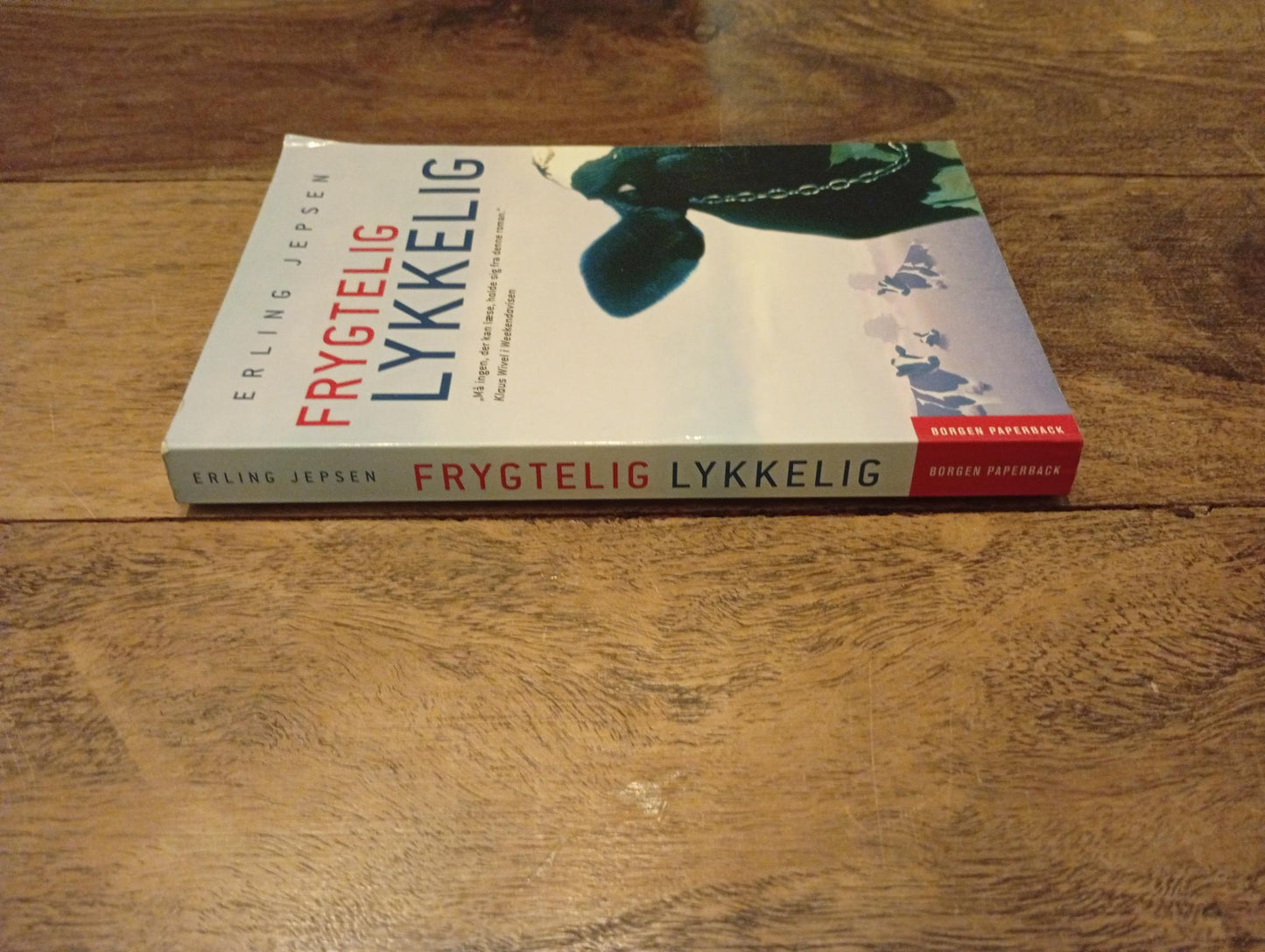 Frygtelig lykkelig Erling Jepsen Gyldendal 2021