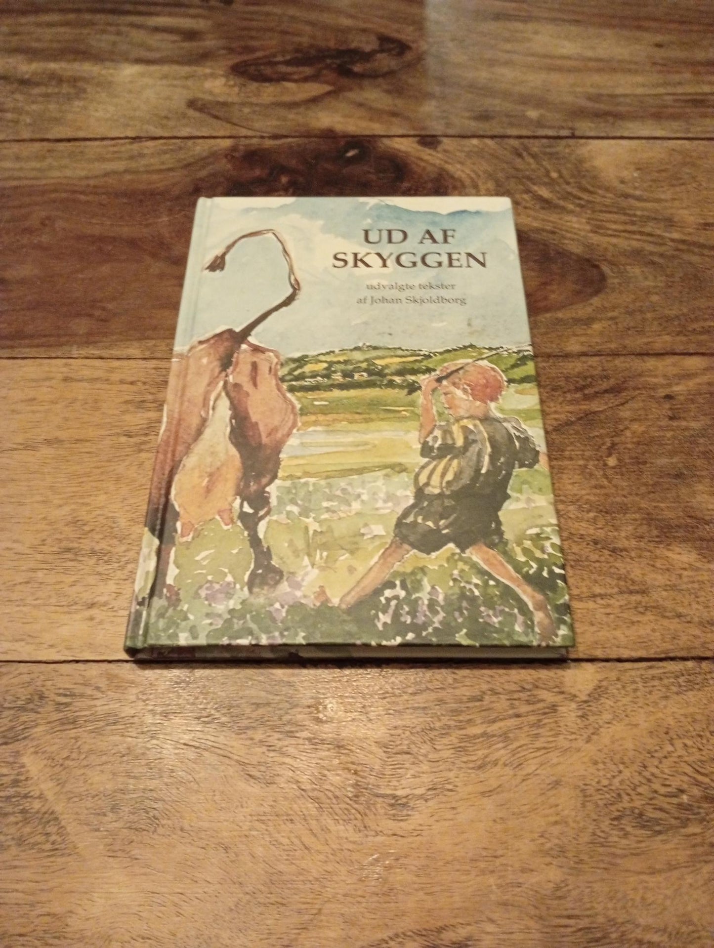 Ud af Skyggen Johan Skjoldborg Museum Thy 2011