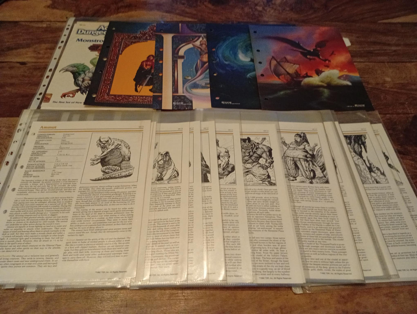 AD&D Al-Qadim Monstrous Compendium Appendix TSR 2129 AD&D 1992