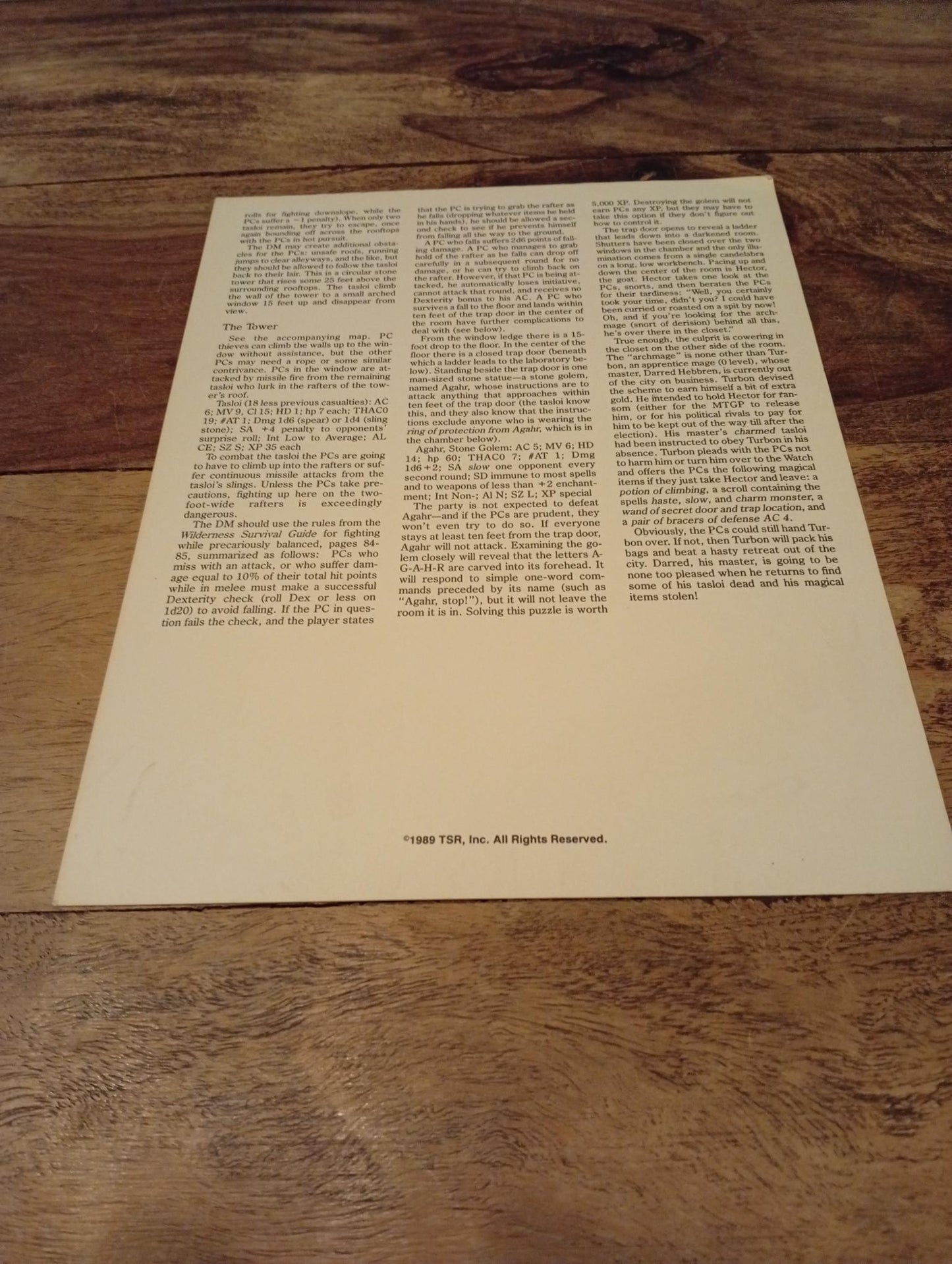 AD&D Greyhawk Reference Card #22 TSR 1043