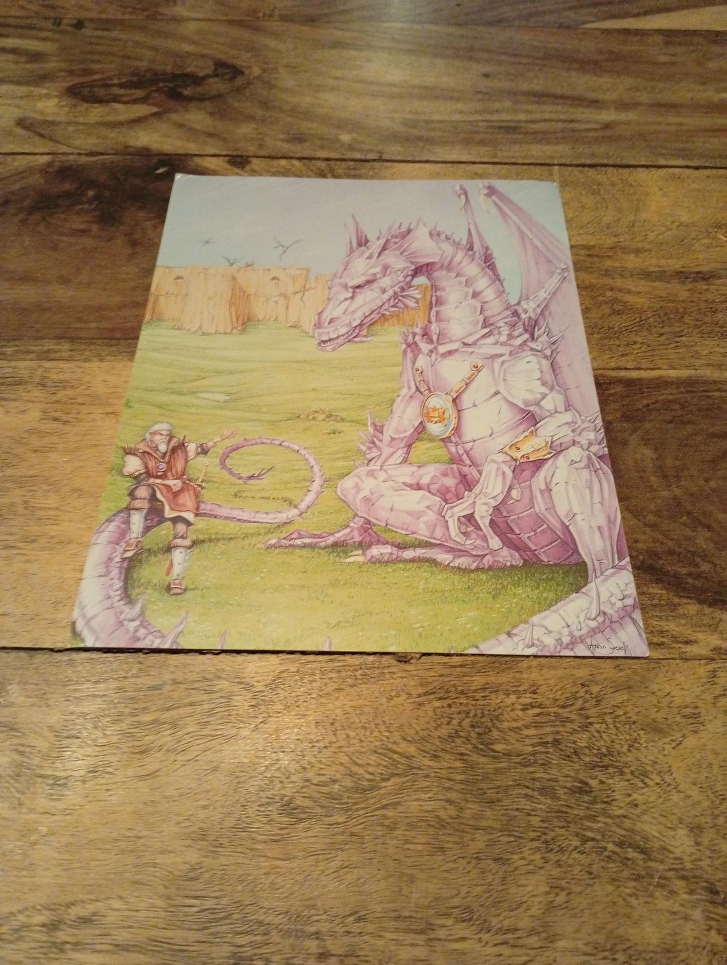AD&D Council of Wyrms Reference Card #7 TSR 1107 AD&D 1994