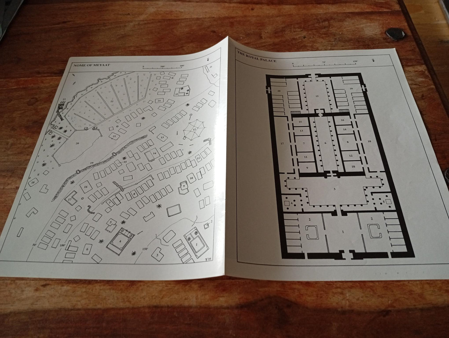 Shadow World Kingdom of the Desert Jewel Map I.C.E. 6007 Rolemaster 1989