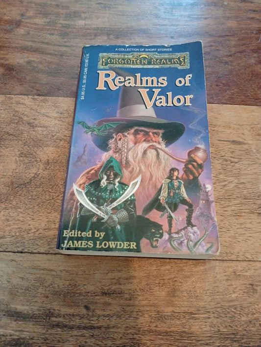 Forgotten Realms Realms of Valor TSR 1993