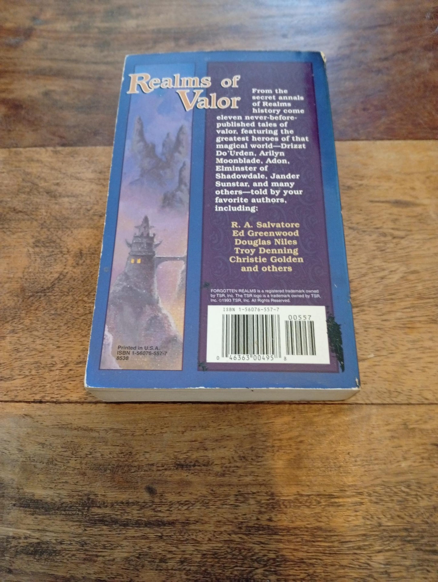 Forgotten Realms Realms of Valor TSR 1993