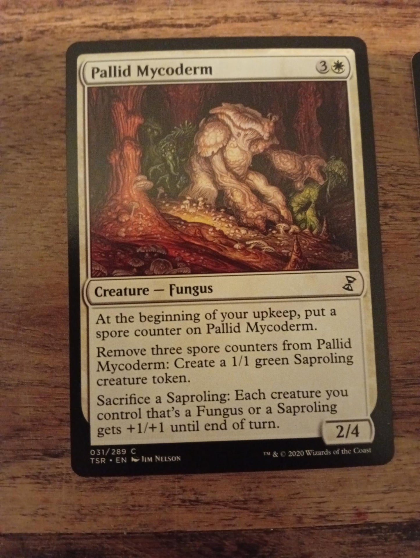 Magic The Gathering Pallid Mycoderm 031/289 TSR Time Spiral Remastered