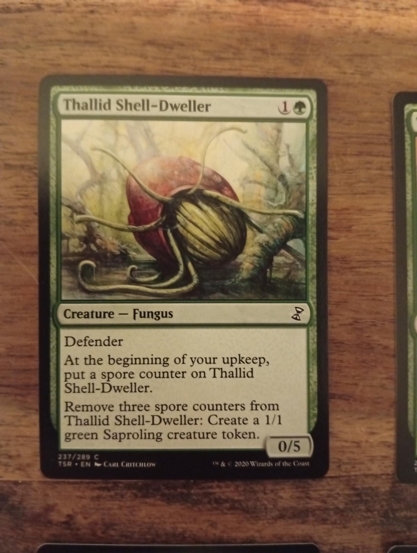 Magic The Gathering Thallid Shell-Dweller 237/289 TSR Time Spiral Remastered
