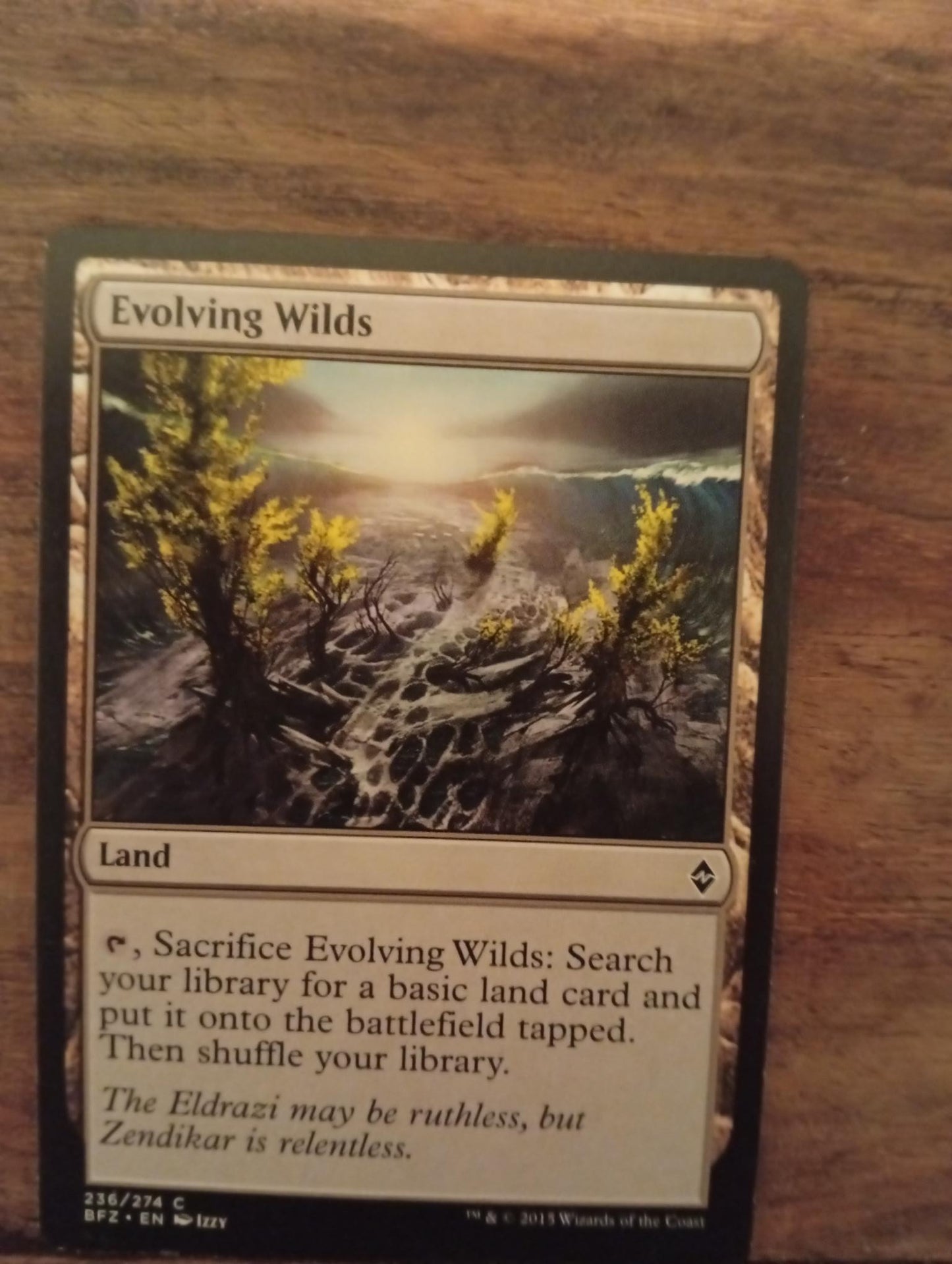 Magic The Gathering Evolving Wilds 236/274 Battle for Zendikar