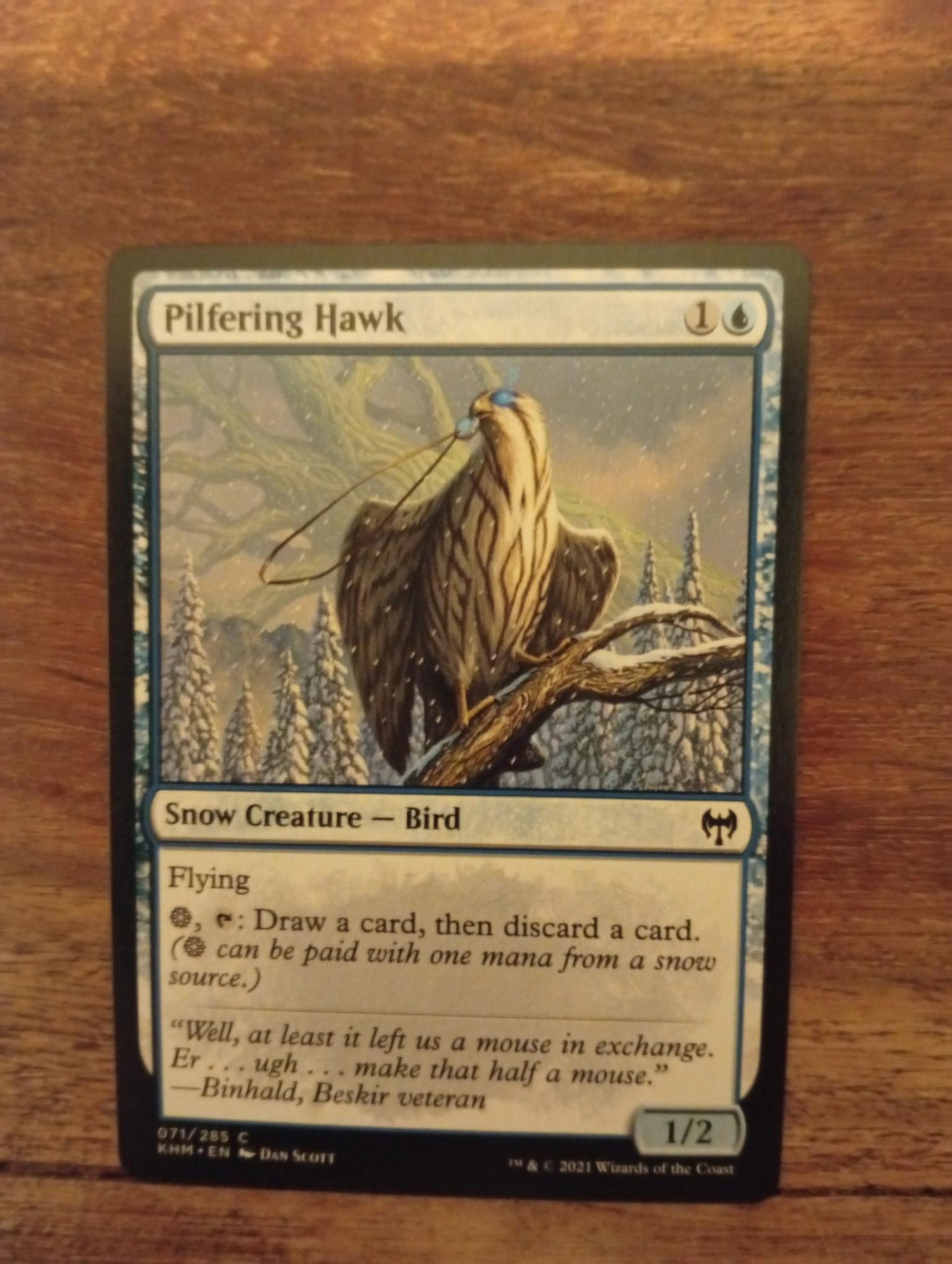 Magic The Gathering Pilfering Hawk 071/285 Kaldheim