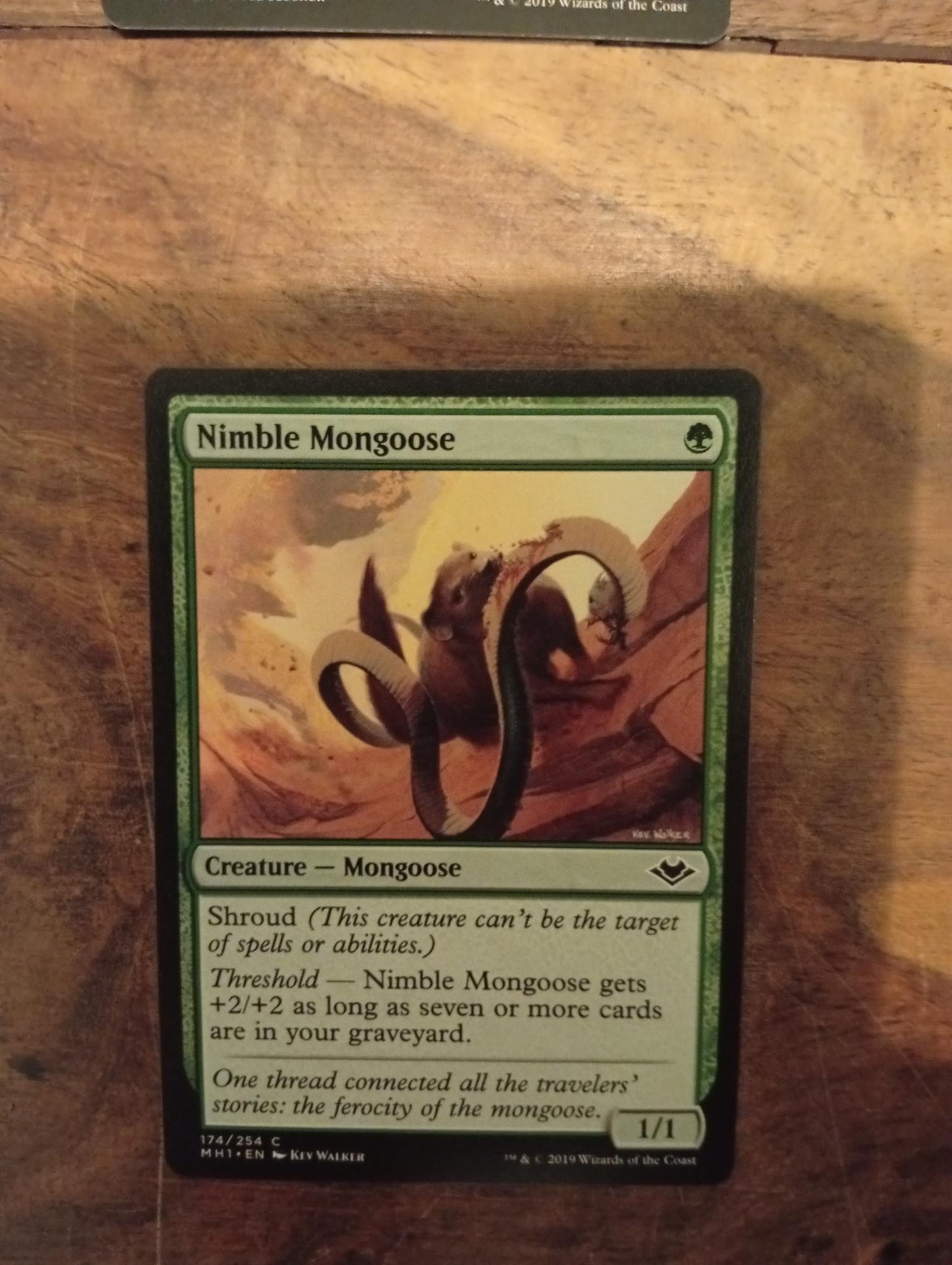 Magic The Gathering Nimble Mongoose 174/254 Modern Horizons