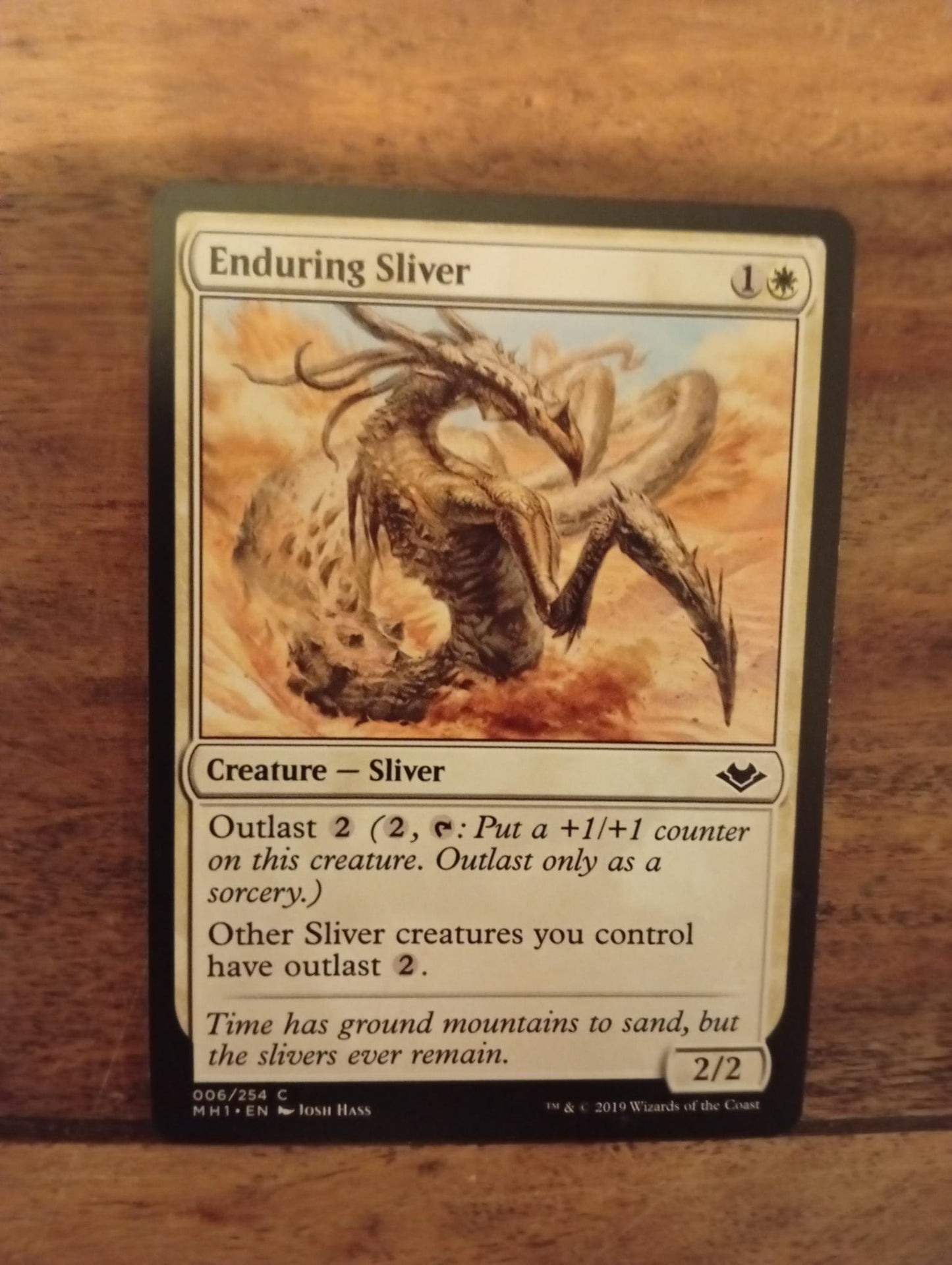 Magic The Gathering Enduring Sliver 006/254 Modern Horizons