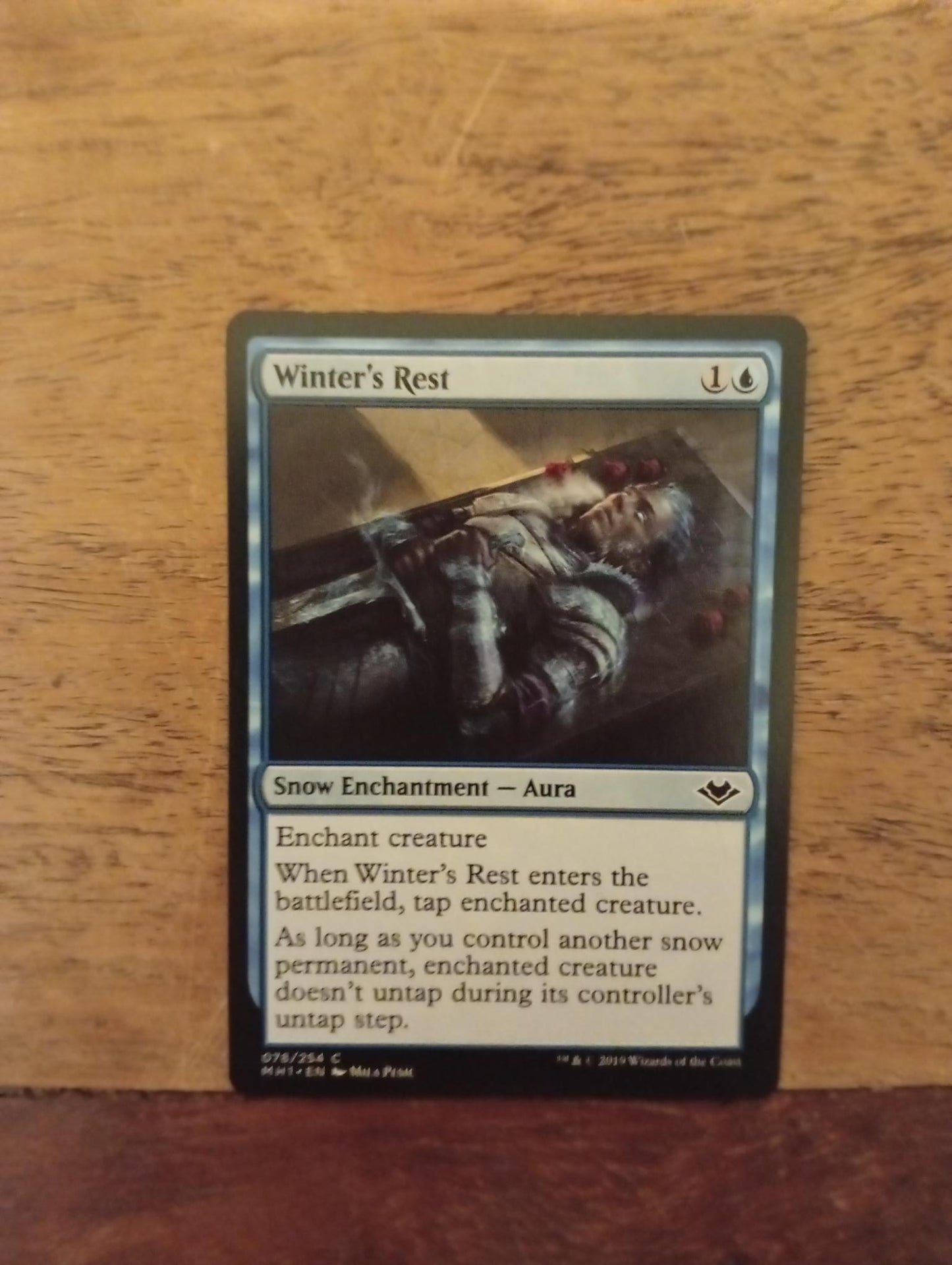 Magic The Gathering Winter's Rest 078/254 Modern Horizons