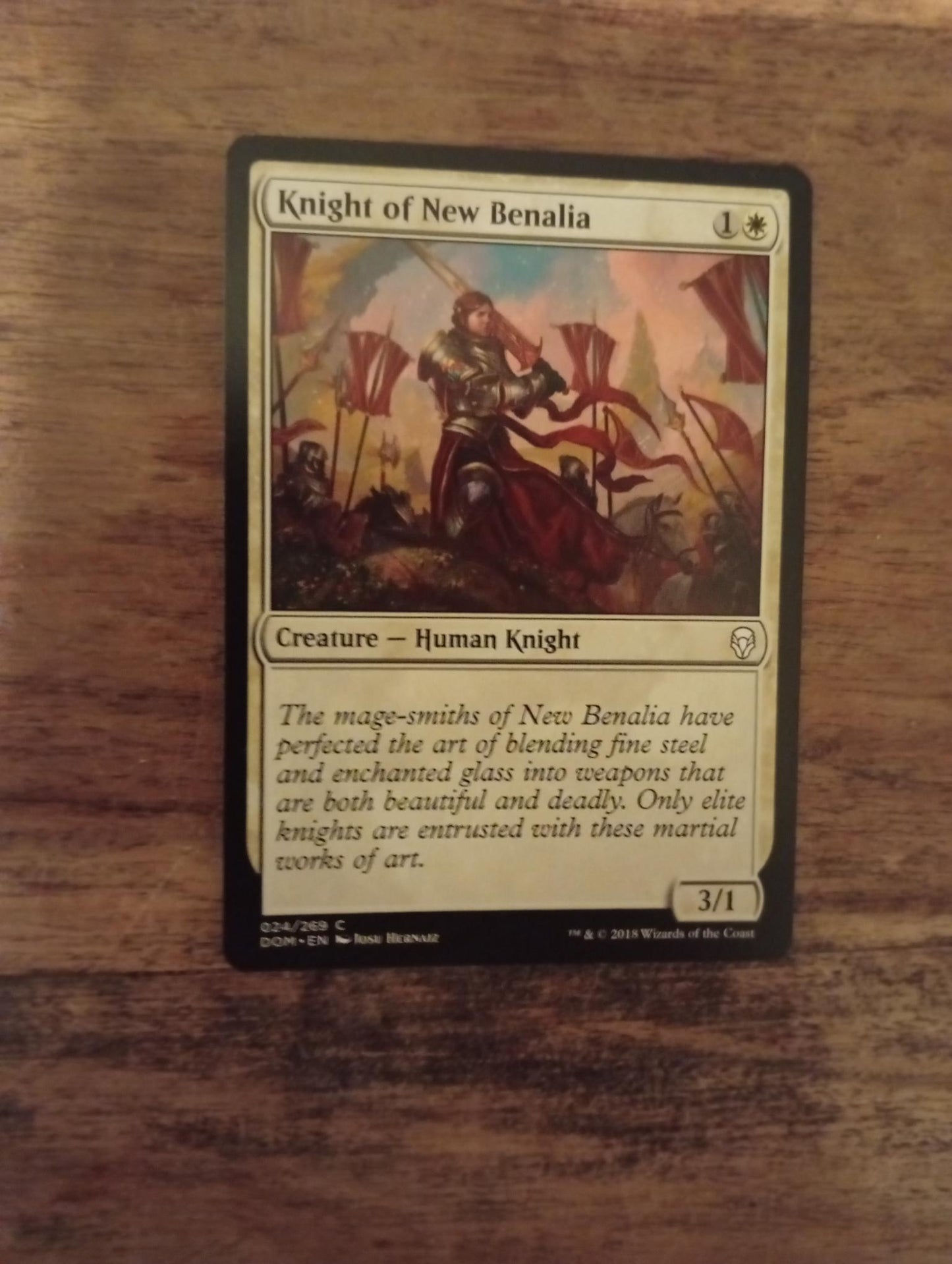 Magic The Gathering Knight of New Benalia 024/269 Dominaria