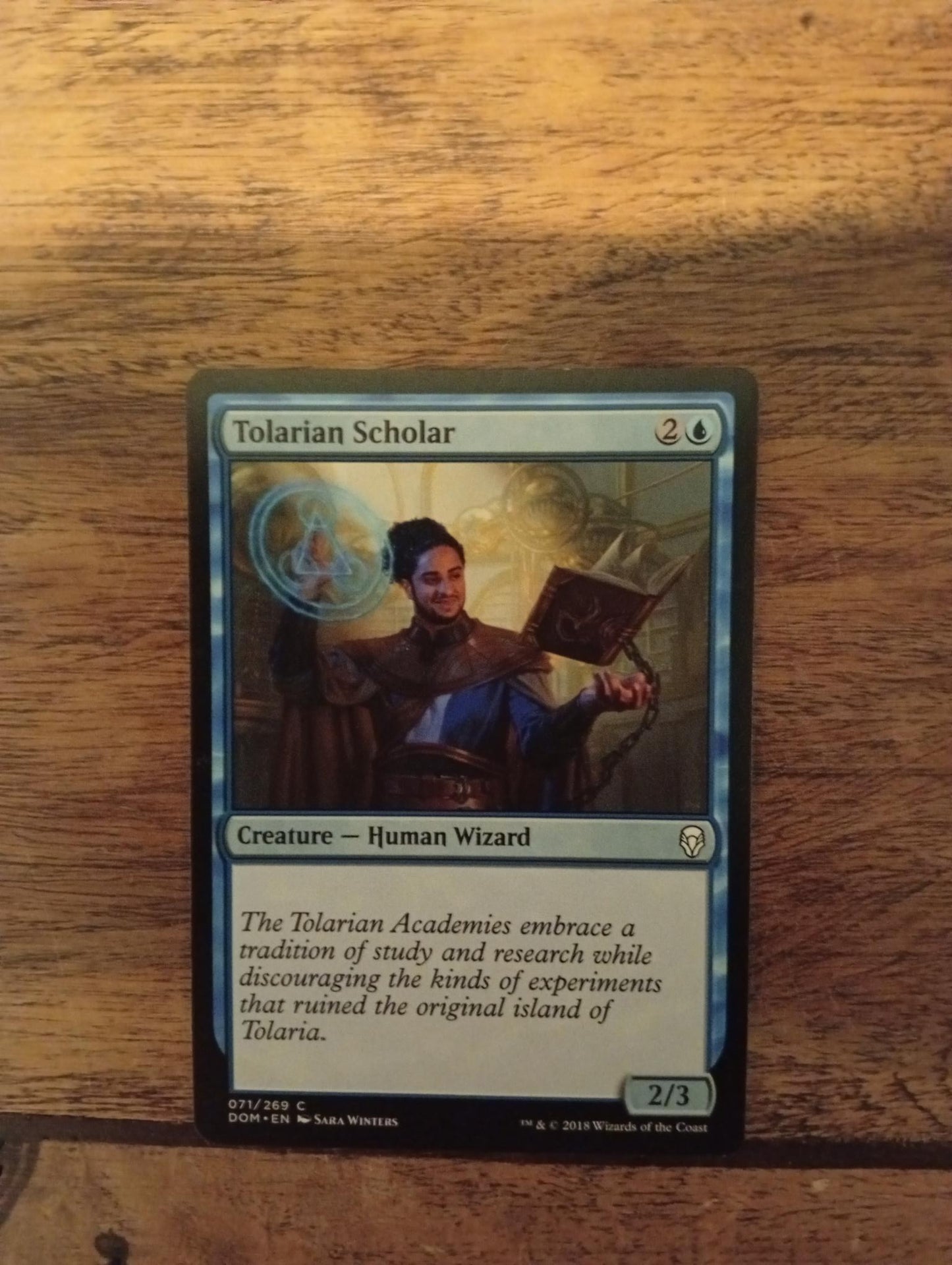 Magic The Gathering Tolarian Scholar 071/269 Dominaria