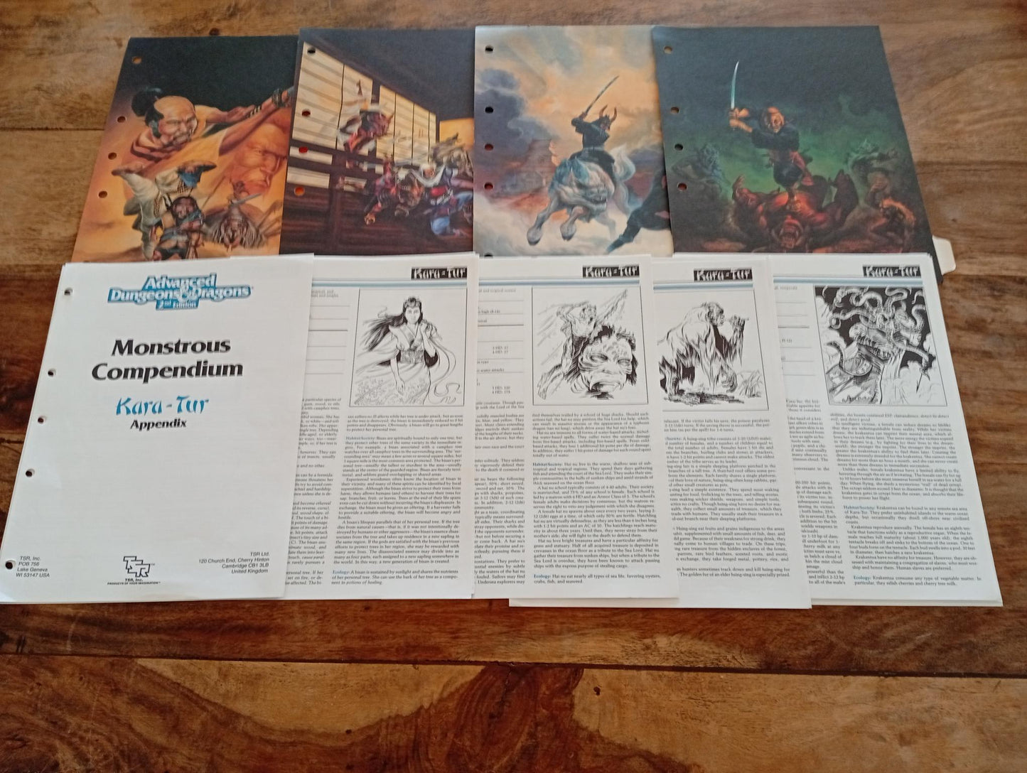 Kara-Tur Monstrous Compendium Appendix MC6 No Slipcover TSR 2116 AD&D 1990 - AllRoleplaying.com