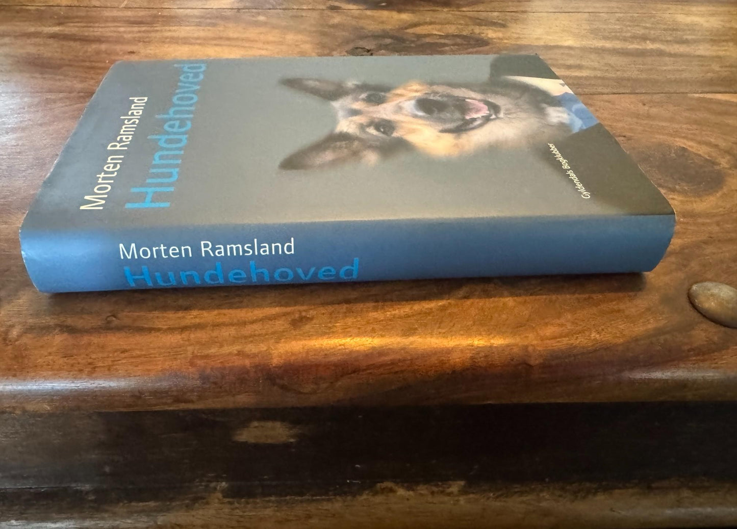 Hundehoved Morten Ramsland