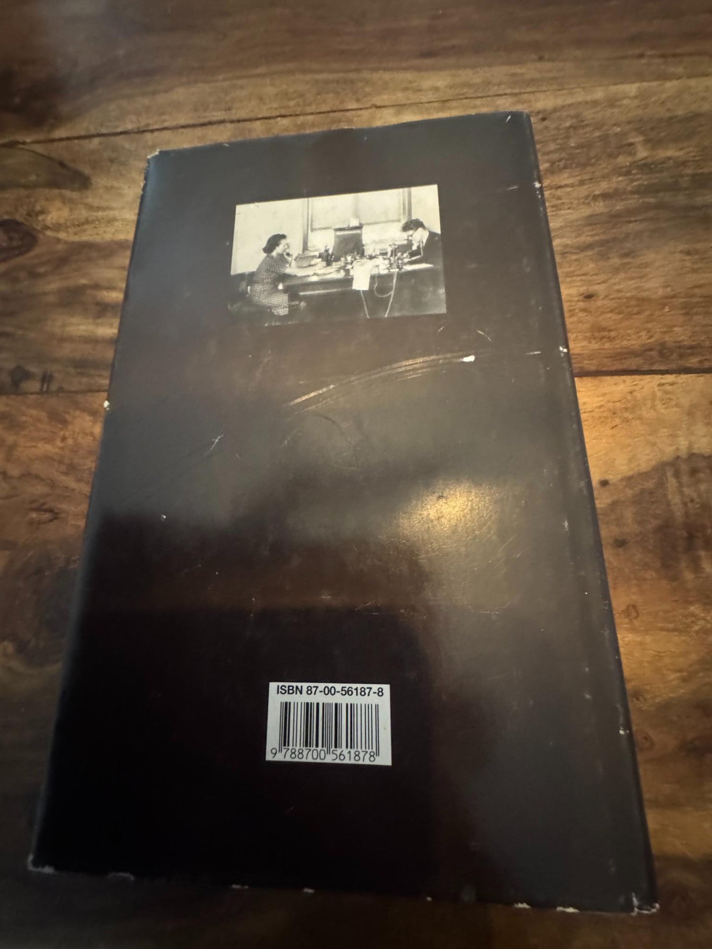 De sendte en dame Lise Nørgaard 1995